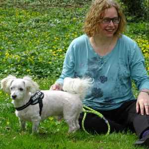 Supafans (Freestyle)