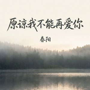 原谅我不能再爱你_伴奏