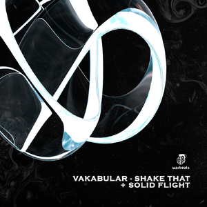 Solid Flight (Extended Mix)
