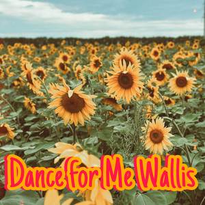 Dance For Me Wallis (Piano Cover)