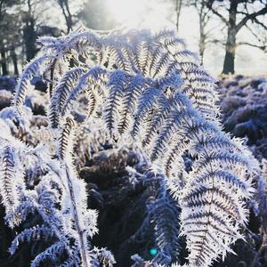 Shortest Day