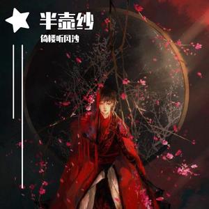 半壶纱