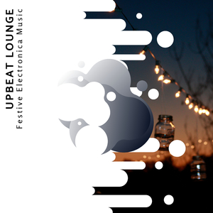 Cosmic Voyager (Chill Electronica Fest)