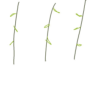 Дзед знойдзе у гарбушаў