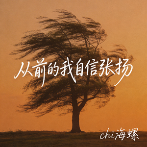 从前的我自信张扬