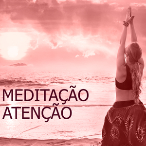 Plexo Solar