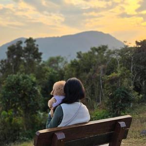 時光可否再慢一點