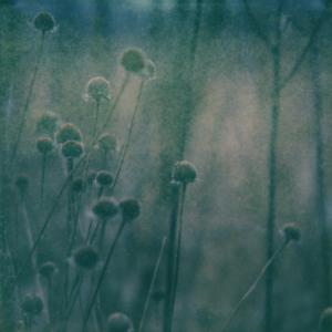 Mourning Shadows We Perish