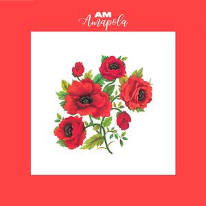 Amapola