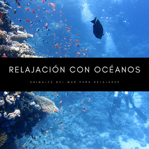 Murmullo del Océano