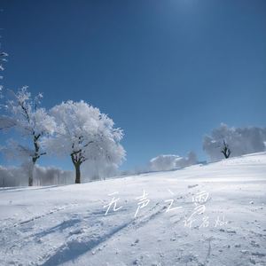 无声之雪