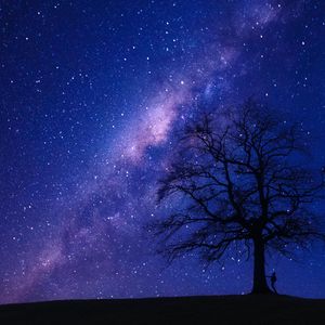 [FREE] "forest" EMO TYPE BEAT