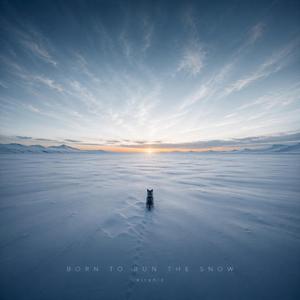 Born to Run the Snow