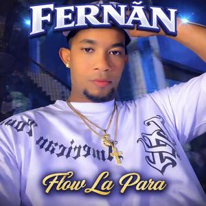 Fernan flow tatuaje y aretes 8