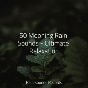 Woods, Mild Air, Avians, Bugs