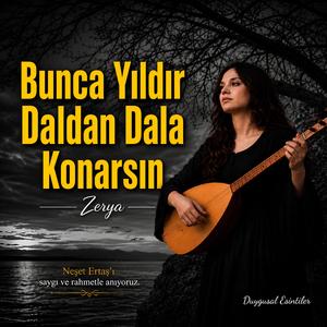 Bunca Yıldır Daldan Dala Konarsın
