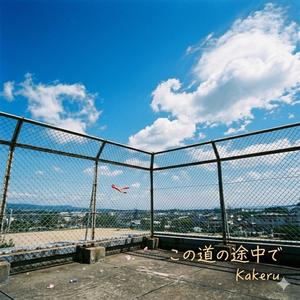 この道の゙途中で