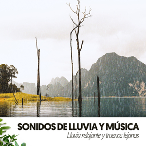 Salpicaduras Sorpresas