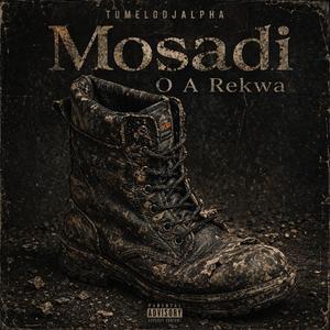 Mosadi O A Rekwa