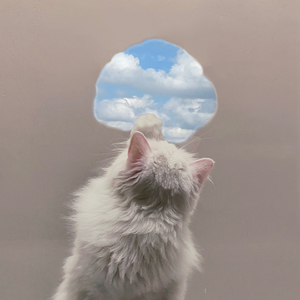 ถ้าเธอไม่รักกันแล้ว จะเก็บฉันไว้ทำแมวอะไร? (Say It To Me Now)