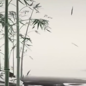 松风明月三千里