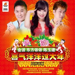 喜气洋洋过大年 (DJ苏平版男声伴奏)