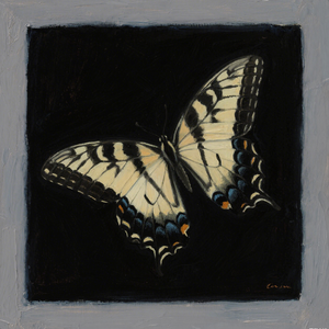 以撒 （prod by BuDI）