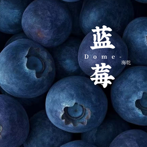 蓝莓（dome）