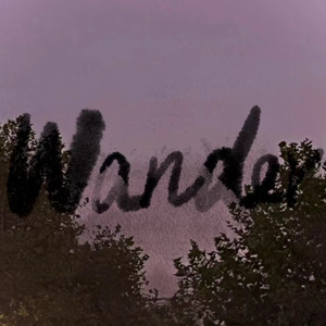 Wander