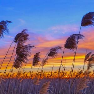 가을이면 온다했는데