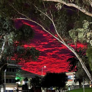 "SOS" Emo x Boombap Type Beat