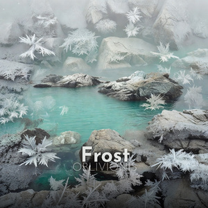 Frost
