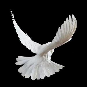 young girl2(prod.by.YJ)