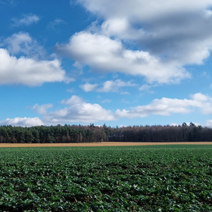 Watching White Clouds in the Blue Sky