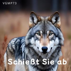 Schießt Sie ab