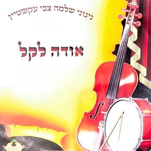 Nigun Simcha (Mechalkel Chaim) (feat. Shloime Hersh Ekstein)