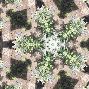 Een reis van innerlijke ontdekking en zachte resonantie