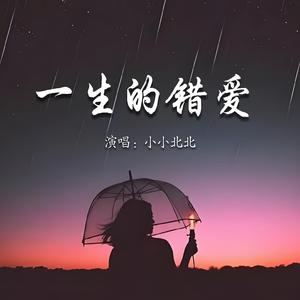 一生的错爱