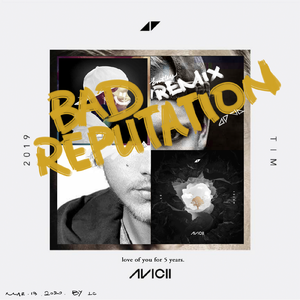 Bad Reputation（Bootleg Remix）（翻自 Joe Janiak）