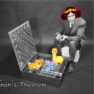 Shannon's Theorem