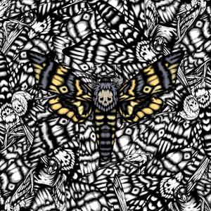 so often i over water the seed of new love