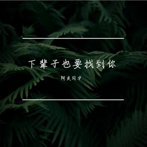 下辈子也要找到你