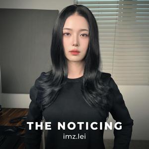 The Noticing