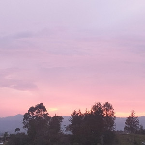Créelo