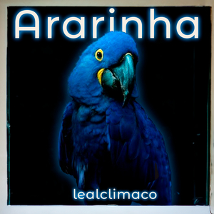 Ararinha