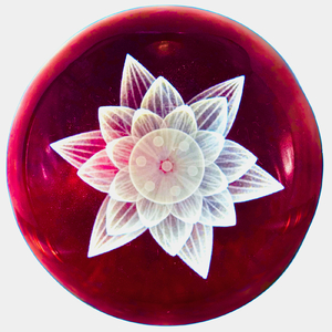 夢から覚めたら