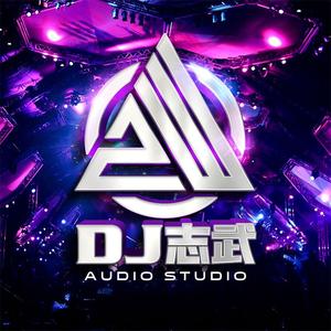 1_南昌DJ志武私人定制-失落沙洲（mczwremix国语女）