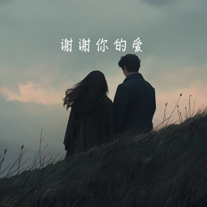 谢谢你的爱(深情版)
