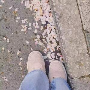 暖春（prod by Lv9）