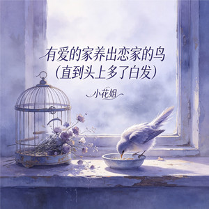 有爱的家养出恋家的鸟(直到头上多了白发)